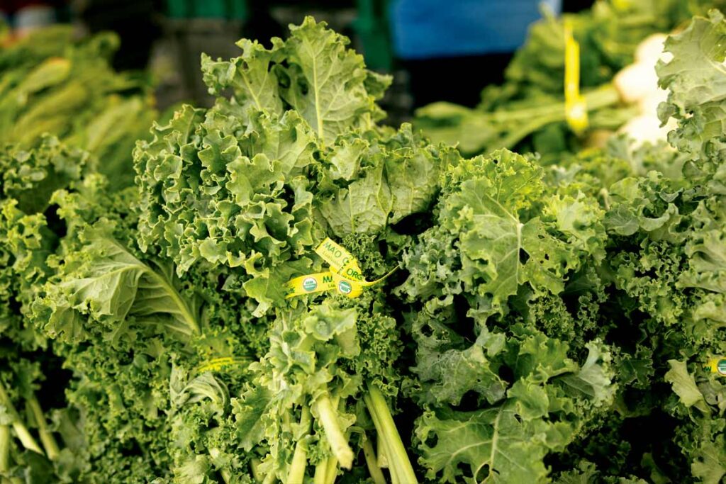 Fresh farmers' market produce from Ma‘o Organic Farms.