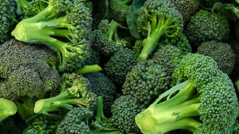 Healthcare Coalition